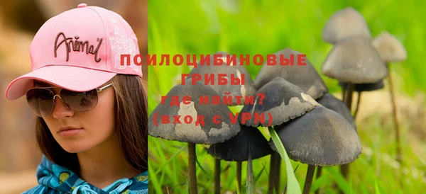 соль курить ск Заводоуковск